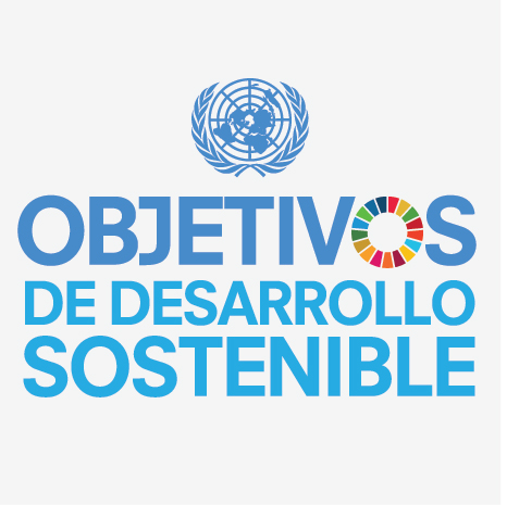 http://www.unescoetxea.org/irudiak/S_SDG_Icons-01-18.jpg
